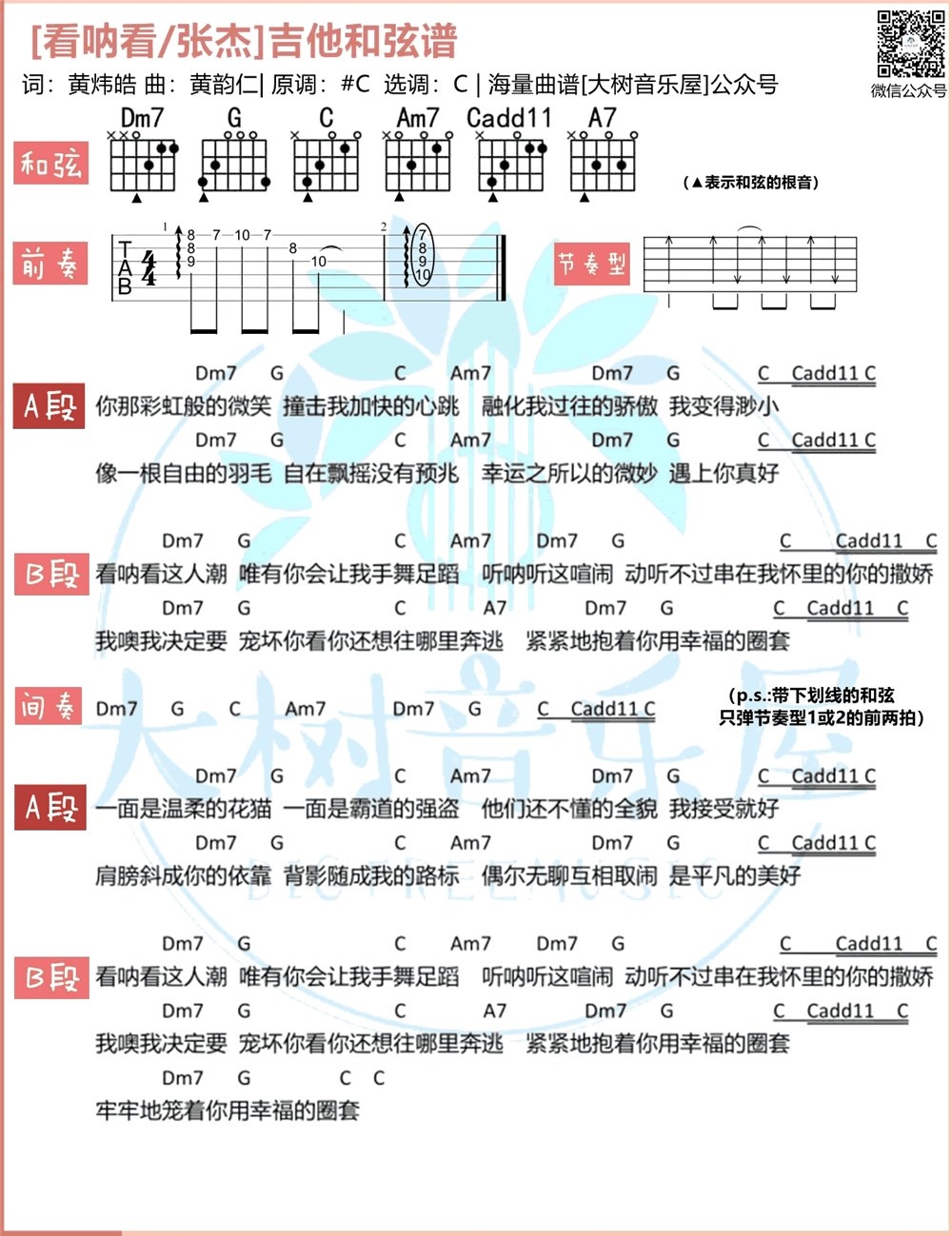 《看呐看》弹唱_张杰