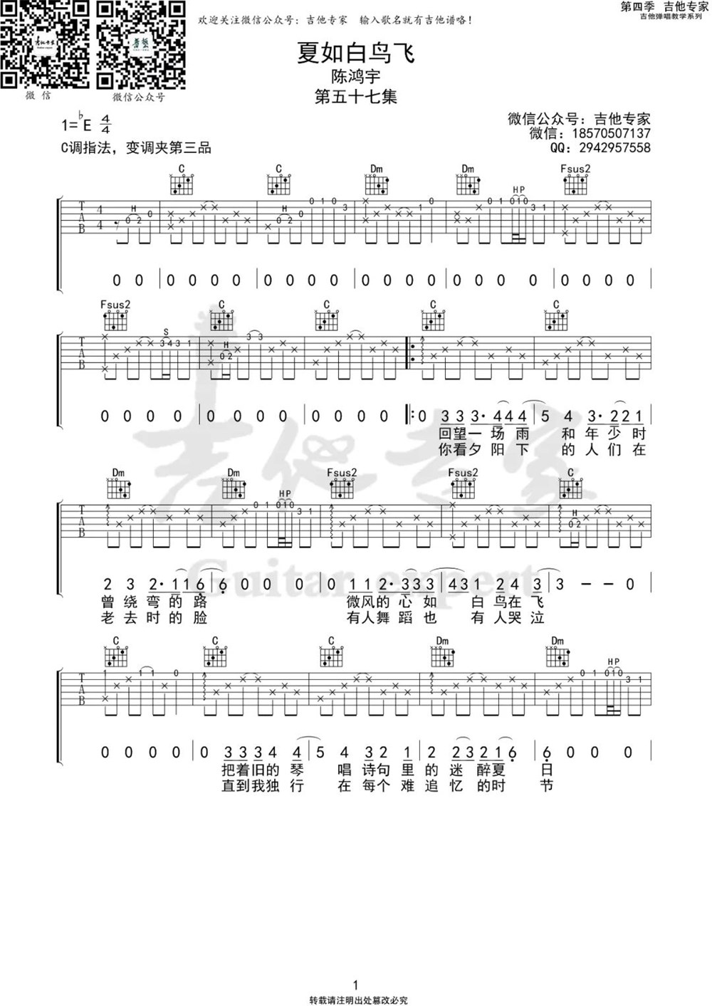 《夏如白鸟飞》弹唱_陈鸿宇